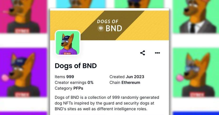dogs of bnd