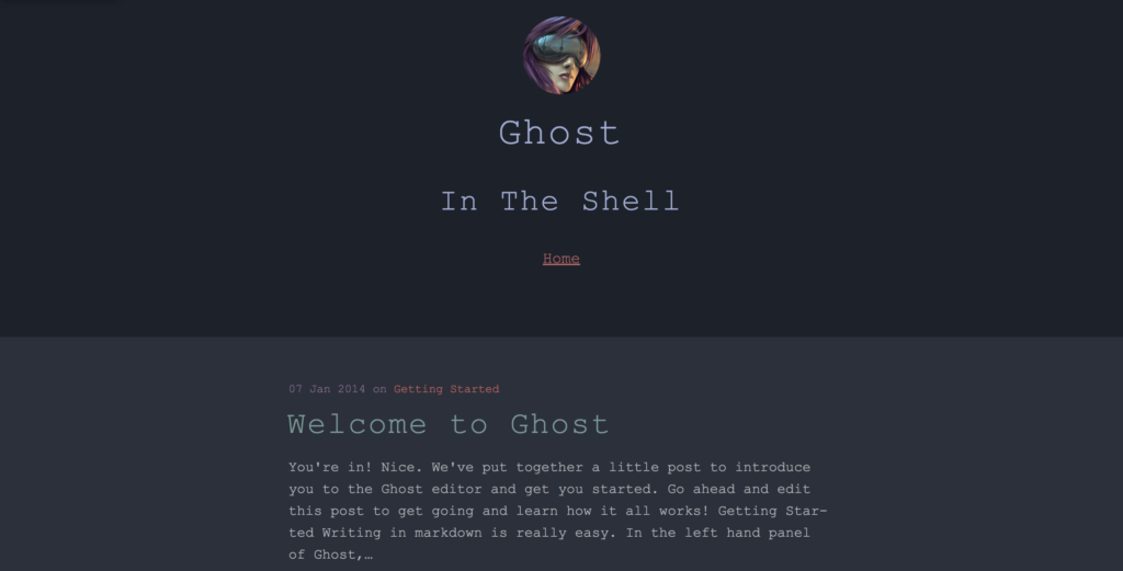 the shell free ghost theme