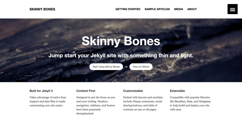 skinny bones blog theme
